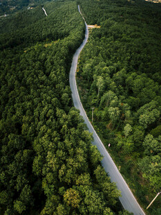 航拍林间蜿蜒公路