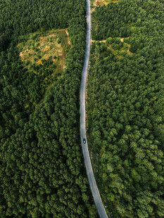 航拍林间公路风光