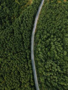 航拍林间蜿蜒公路