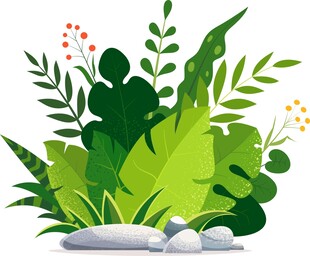 热带叶和花的植物学插图