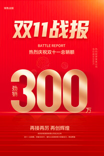 双11战报