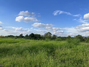 郊野晴空草地风光