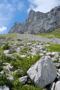 高山草甸山野风光