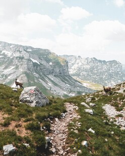 山间小径山野风光