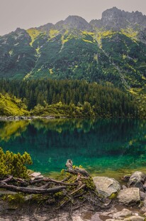 高山翠湖自然风景