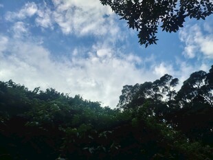 山林上空的蓝天白云