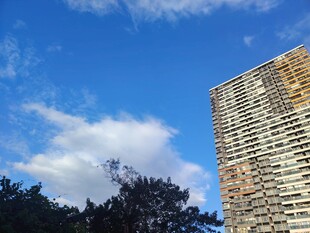 晴空下城市高楼仰拍