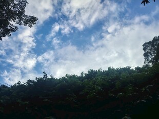 山林上空蓝天白云