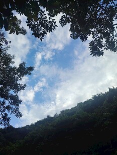 山野林间晴空云景