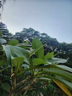 户外山野风光