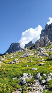 高山草甸晴日风光