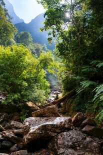 山林溪谷自然美景