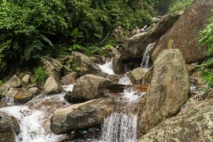 林间山涧溪流小瀑布