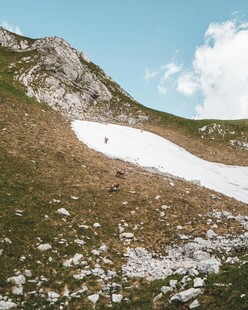 高山草甸残雪风光