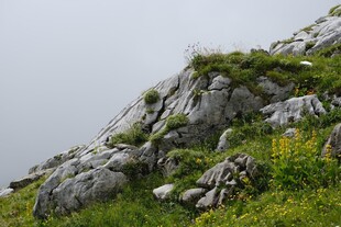 山间草坡岩石风光