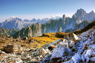 高山草甸山野风光