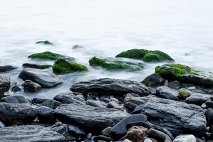 海边青苔礁石水景