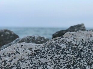 滨海礁石海岸风光