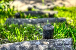 郊野草地旧木栅栏