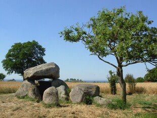 旷野景观