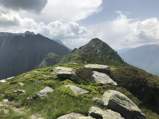 高山草甸山野风光