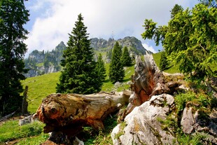 山林自然风景