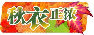 秋衣正浓