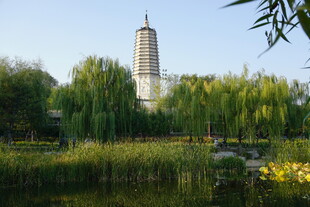 沈阳塔湾舍利塔秋景