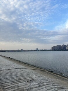 湖岸远眺城市风光