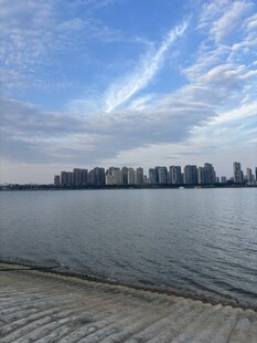 湖岸远眺城市风光