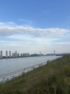 江畔城市晴日风光