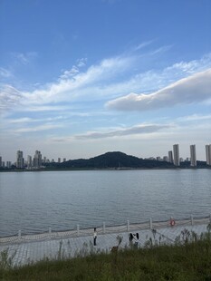 湖岸城市远景风光