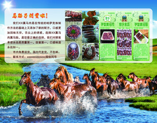 草原特产宣传海报
