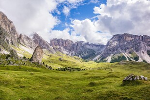 高山草甸自然风光
