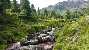 山野溪流自然风光