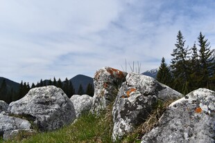 山野巨石自然风光