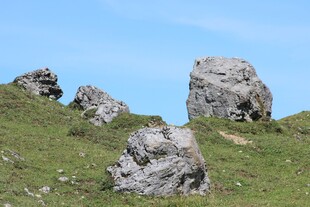 山坡草地巨石景观