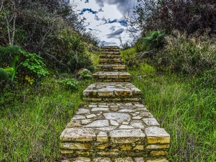 林间石阶步道风光