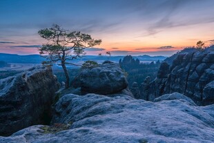 山巅云海日出美景