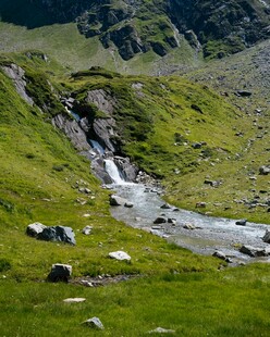 山野草甸溪流风光
