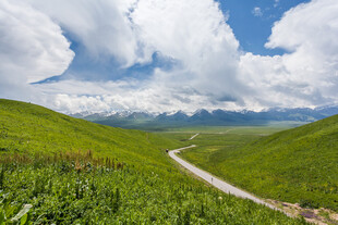 草原郊野公路自然风光