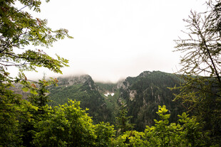 林间远眺山野风光