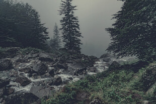 雾境山林溪流风光