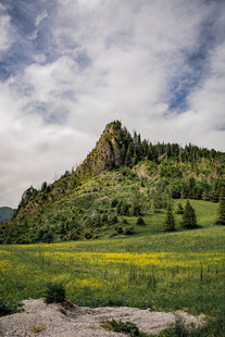 郊野青山自然风景