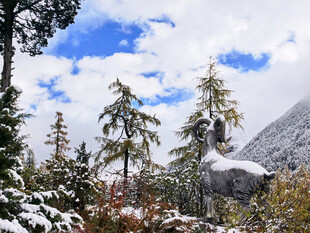 毕棚沟雪景