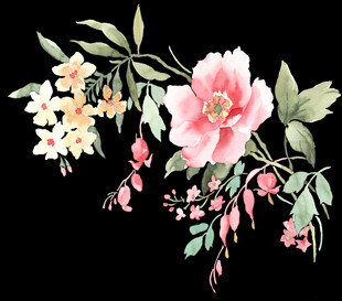 水彩国风花卉插画