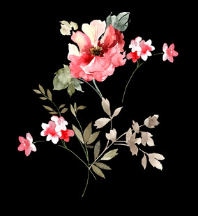 黑底水彩手绘花束