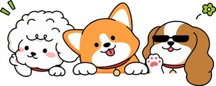 卡通柯基