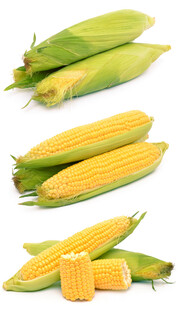 玉米 