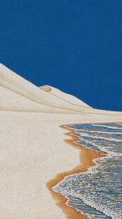 沙漠盐湖插画